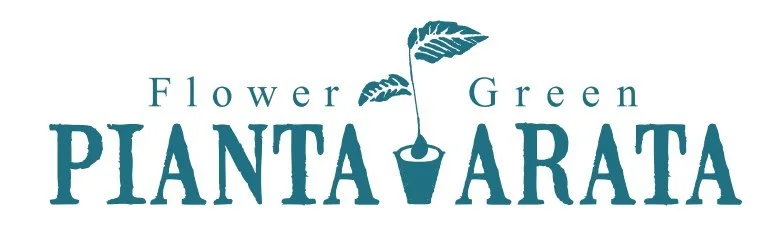 PIANTA ARATA | あらた生花店
